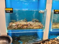 -赶海部落海鲜城(海阳路店)