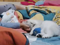 -lincat·猫舍(广州店)