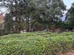 -余姚阳明温泉山庄