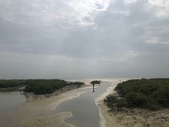 -北海金海湾红树林生态旅游区