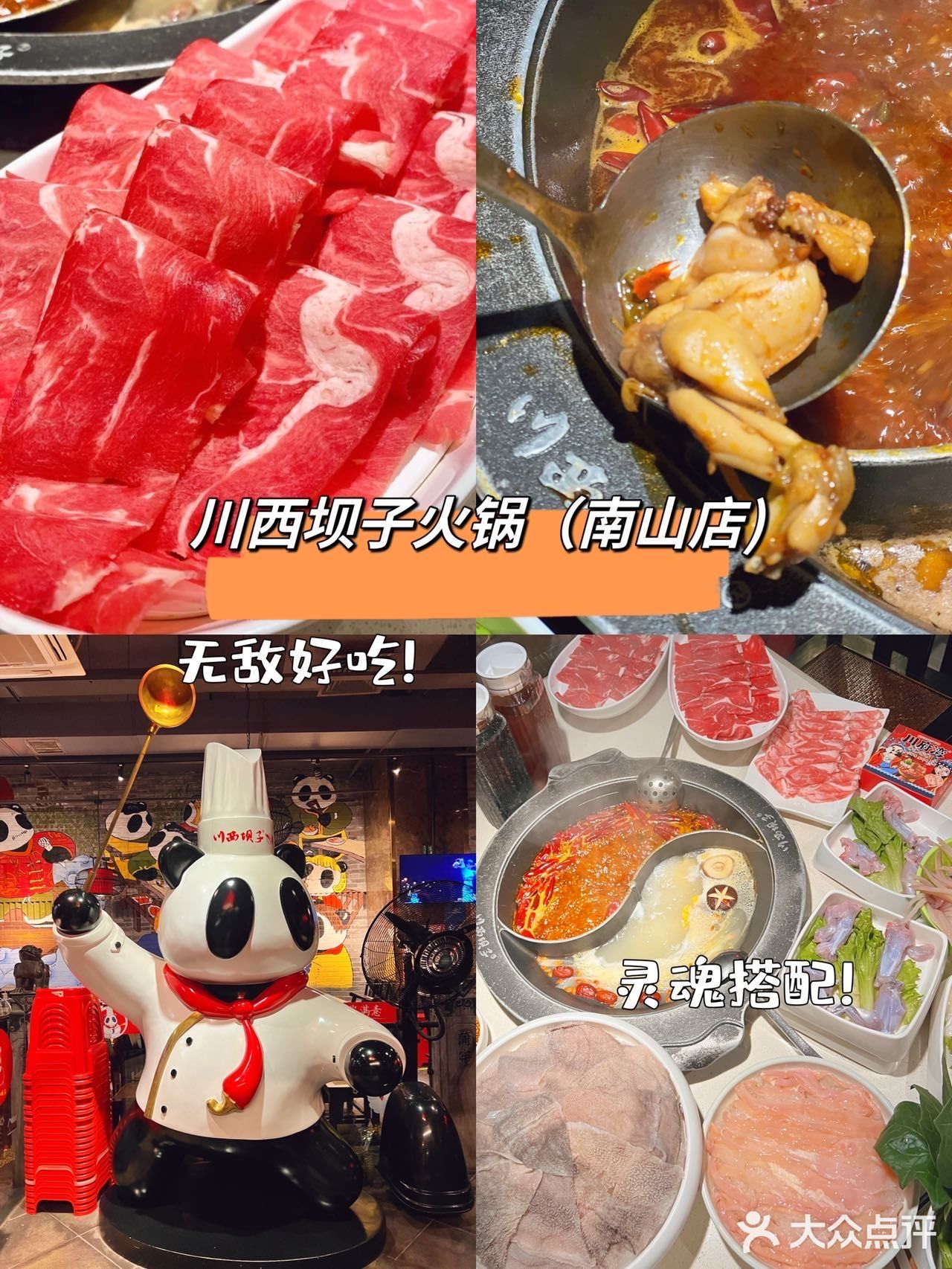 同事说南山有家开了5年的成都老火锅 作为无辣不欢的达人
