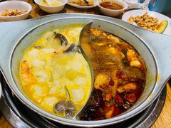 -青瓷火锅料理(西单大悦城店)