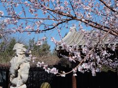 -三里河公园