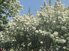 -桐乡植物园