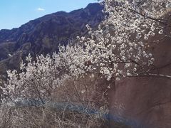 -北京凤凰岭
