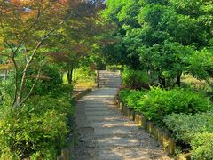 -九龙潭景区