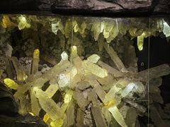 -湖南省地质博物馆