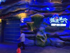 关门-青岛嘉年华主题乐园