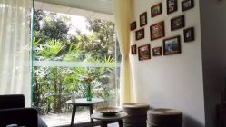 -榕树上·瑜伽普拉提