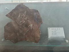 -延庆地质公园博物馆