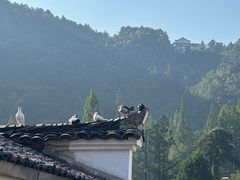 -九华山风景区
