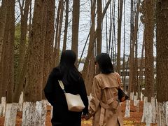 -外婆船宴餐厅·外婆喊你回家吃饭