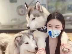 -Husky Go! 哈士奇体验馆·宠物咖啡厅狗咖