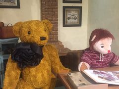 -济州岛泰迪熊博物馆