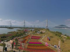 -芒洲湿地公园