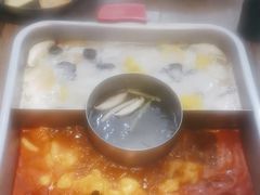 -新辣道鱼火锅(龙旗广场店)