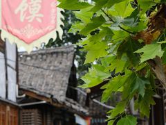 -中天楼