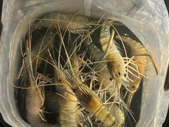 -DGE季风钓虾营地·团建·聚会