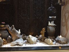 -素可汤泉(天宝大厦店)