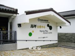 -天坛大佛