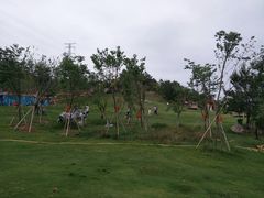 -清境桃源