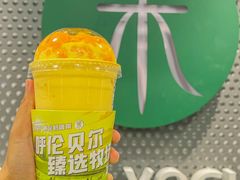 -茉酸奶(春熙路店)