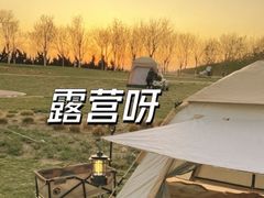 -东堤公园