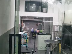 -宠颐生嘉德动物医院