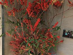 -大拙里·精致融合菜(沙湖桃源国际店)