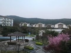 -太湖湾开元名庭大酒店