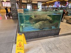 -聚福宝合苑食府(南头镇店)