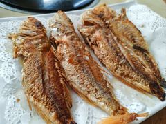 -三得正宗乌烈乳羊(环城东二路店)