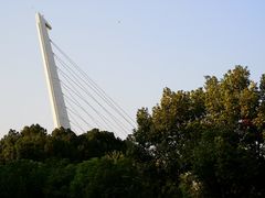 -紫荆广场·花漫里