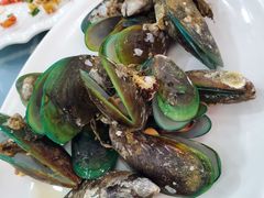 蒸青口-明记海鲜大排档(巽寮湾店)