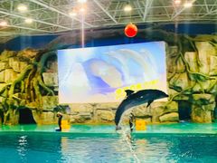 -威海华夏城景区