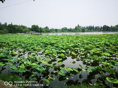 -张公山寨景区
