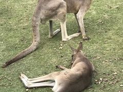 -上海野生动物园