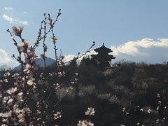 -白水寺森林公园
