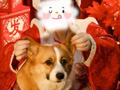 -青春加萌照相馆