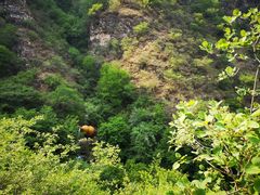 -野三坡清泉山风景区