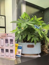 -京世沙龙