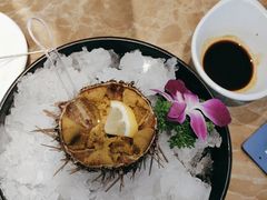 -老大连·海肠捞饭·大连海鲜大连菜(西安路店)