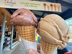 -Dooley's Premium Ice Cream