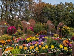 -上海共青森林公园