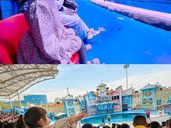 -华夏文旅海洋公园