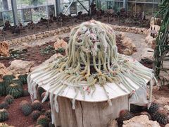 -南通洲际绿博园