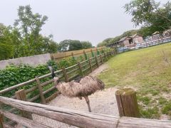 -苏州太湖西山岛开心农场