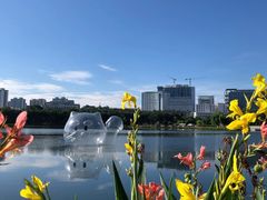 -南宁南湖公园