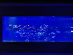 -重庆欢乐海底世界