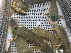 -盒马鲜生(悦峰店)